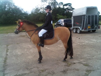 British Showjumping Club Show at Wing J&D in Bedfordshire